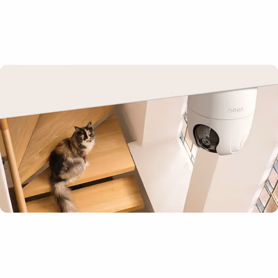 imou Cue 2 3MP IPC-C32EP фиксированная домашняя Wi-Fi камера с сиреной