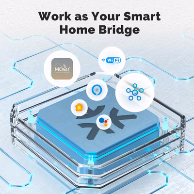 Moes MWM-104B-MS modul releu Matter peste Wi-Fi 2 canale 10 A, fără hub - features