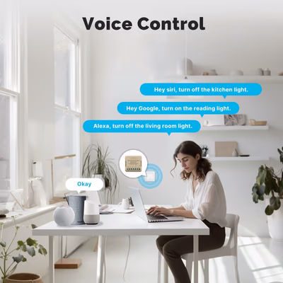 Moes MWM-104B-MS modul releu Matter peste Wi-Fi 2 canale 10 A, fără hub - features