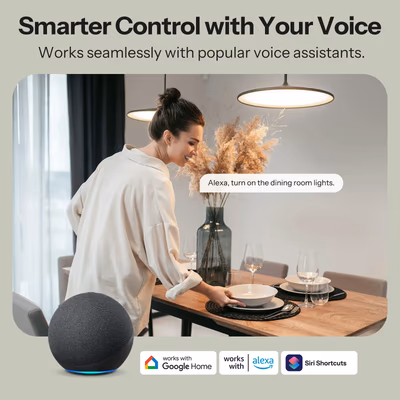 Sonoff MINI-2GS Mini Duo Matter Wi-Fi реле 2 канала в подрозетник