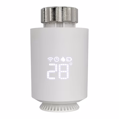 TRV06 - main